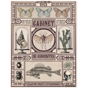 Objets de curiosité